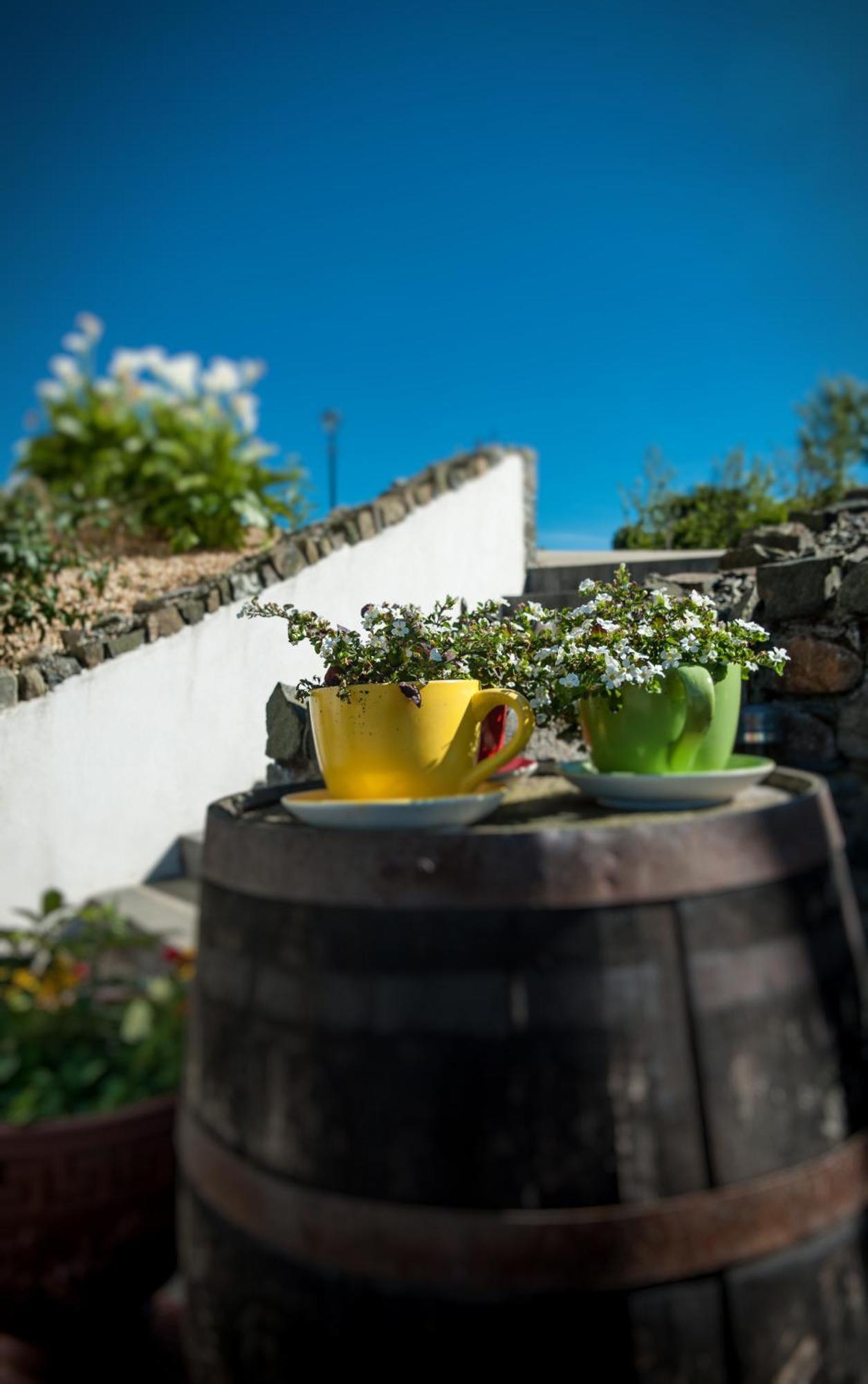 Grove House Bed & Breakfast Carlingford Dış mekan fotoğraf