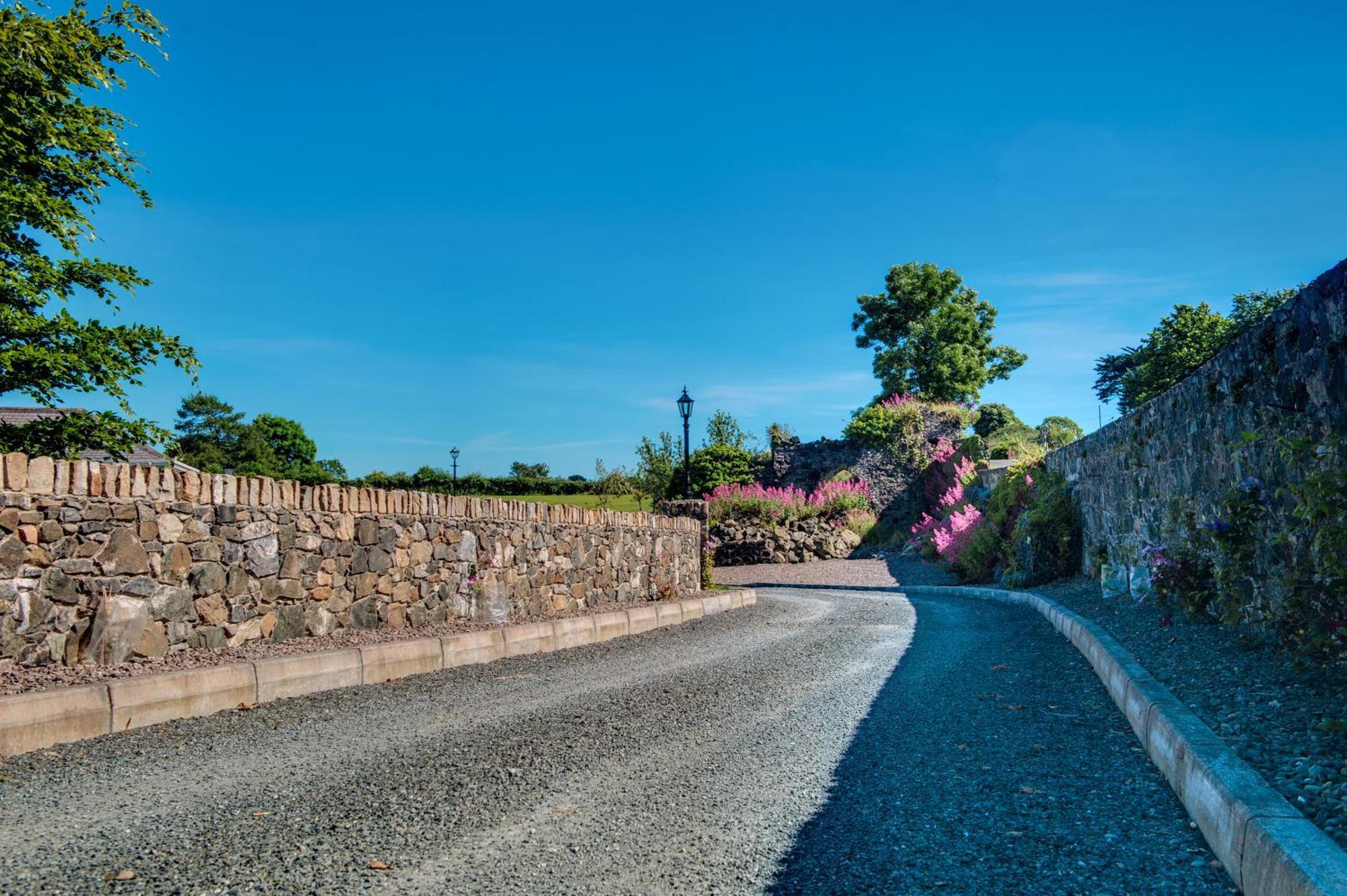Grove House Bed & Breakfast Carlingford Dış mekan fotoğraf