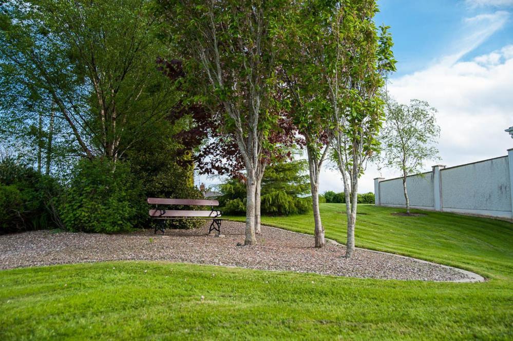Grove House Bed & Breakfast Carlingford Dış mekan fotoğraf