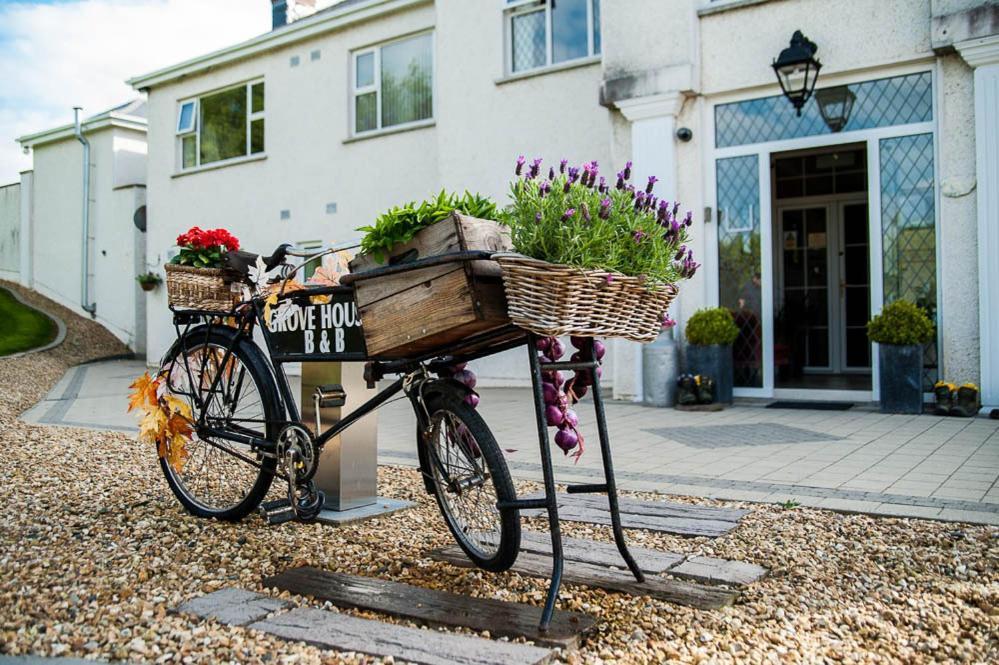 Grove House Bed & Breakfast Carlingford Dış mekan fotoğraf