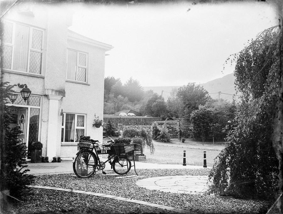 Grove House Bed & Breakfast Carlingford Dış mekan fotoğraf